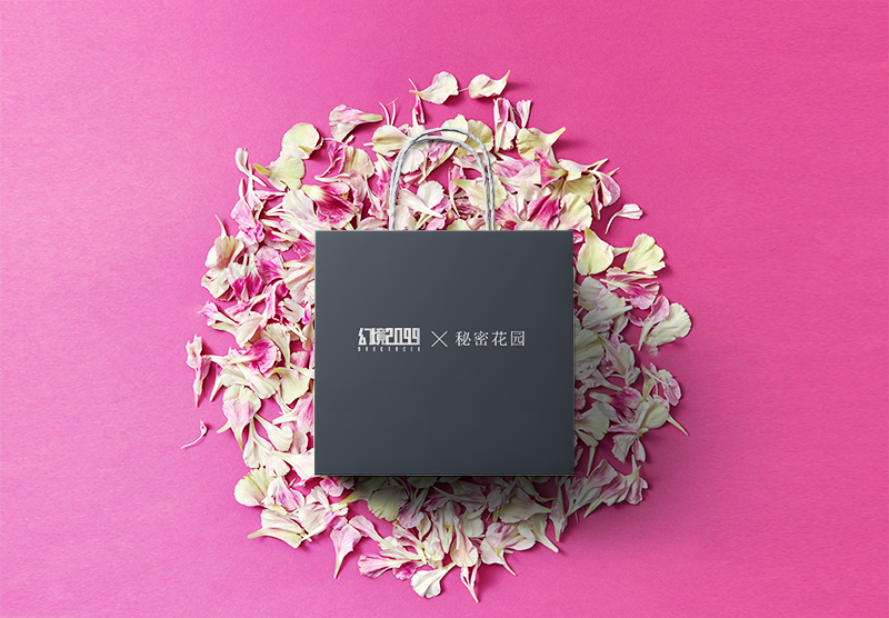 無(wú)紡布禮品袋包裝禮物更好看